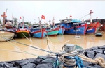 Quảng Ninh tạm ngừng cấp phép thăm quan, lưu trú trên biển từ sáng 5/10