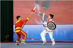 Liên hoan võ cổ truyền Bình Định
