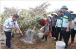 Hỗ trợ nông dân khôi phục sản xuất sau mưa lũ