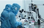Quy trình xét chọn sáng kiến đột phá phát triển khoa học công nghệ, đổi mới sáng tạo và chuyển đổi số