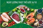 Ngày Lương thực Thế giới 16/10: Chung tay vì thực phẩm tốt hơn và tương lai tốt đẹp hơn