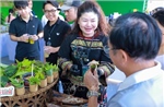 &#39;Thu Mỹ Vị&#39; hội tụ tinh hoa ẩm thực Việt
