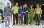 Tiếp nhận từ người dân một con khỉ đuôi lợn thuộc nhóm nguy cấp, quý hiếm