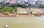 Người dân bất an khi bờ sông Lô sạt lở nghiêm trọng