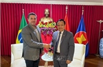 Việt Nam và Brazil thúc đẩy hợp tác đa lĩnh vực