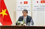 Quan hệ Đối tác Chiến lược toàn diện Việt Nam - Nhật Bản tiến triển mạnh mẽ