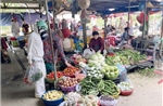 Giá rau củ tại Khánh Hòa đã dần hạ nhiệt