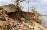 Sập bờ kè khiến 4 người đang trú mưa tử vong