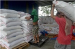 Philippines quay trở lại thị trường gạo quốc tế