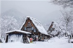 Shirakawago mùa Đông – ngôi làng cổ tích giữa núi rừng Nhật Bản