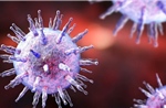 Giải mã cơ chế virus Epstein-Barr gây bệnh đa xơ cứng