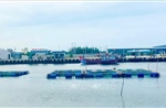 Ngăn chặn lồng bè nuôi thủy sản ‘nở rộ’ trong cảng nước sâu Dung Quất