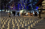 Lễ hội Tuyết Đăng Jozankei - thắp sáng mùa Đông Nhật Bản