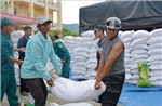 Xuất cấp hơn 14.660 tấn gạo dự trữ hỗ trợ Tết và giáp hạt năm 2026