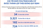 Thành lập các tổ chức phụ trách bầu cử theo đúng quy định