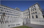 EU kêu gọi cải cách sâu rộng WTO