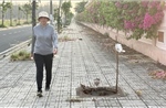Đắk Lắk: Hàng loạt hố ga mất nắp, vỉa hè thành 'bẫy' người đi đường