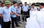 Ninh Bình rà soát, thúc tiến độ 3 dự án giao thông khu vực khu du lịch Tam Chúc