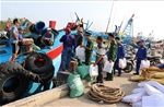 Khắc phục 'thẻ vàng IUU': Đồng Tháp siết quản lý tàu cá