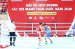Khai mạc Giải vô địch boxing các đội mạnh toàn quốc năm 2026