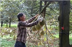 Chuẩn hóa mã vùng trồng mở rộng cơ hội xuất khẩu nông sản