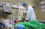 Cứu thành công bé gái 10 tuổi bị ong vò vẽ đốt hơn 70 vết gây nguy kịch