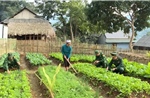 Huy động sức mạnh của cả hệ thống chính trị tham gia bảo vệ chủ quyền lãnh thổ