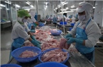 Đồng Tháp: Giá cá tra nguyên liệu tăng cao