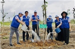 TP Hồ Chí Minh hướng tới mục tiêu đô thị xanh và Net Zero