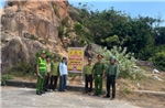 Quản lý ngăn khỉ tấn công du khách và người dân tại Bãi Ngà