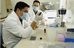 Chính sách hỗ trợ đặc thù, vượt trội cho người giám định tư pháp