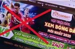 Khởi tố 23 đối tượng điều hành các trang web phát lậu, quảng cáo cá độ bóng đá