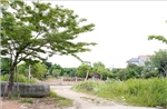 Quảng Trị chỉ đạo kiểm tra, xử lý bất cập tại khu dân cư ‘ba không’