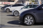 Thị trường xe điện thế giới: Cục diện dịch chuyển