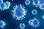 Đức ghi nhận một ca nhiễm virus Borna hiếm gặp, đặc biệt nguy hiểm 