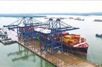Điểm tin kinh tế Việt Nam nổi bật ngày 29/5/2026
