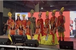 Việt Nam ghi dấu ấn tại Asian Pop Culture Festival đầu tiên ở Paris
