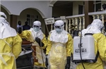 Dịch Ebola: Liên minh chống dịch bệnh tài trợ 60 triệu USD phát triển vaccine
