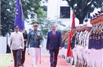 Nhịp cầu hữu nghị từ trái tim Việt Nam - Philippines