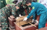 Lấy mẫu, số hóa thông tin hài cốt liệt sĩ tại Nghĩa trang Liệt sĩ Quản Bạ