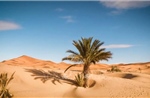 Niger: Gần 50 người chết giữa sa mạc Sahara