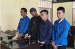 Rủ nhau mua ma túy về sử dụng, nhóm bị cáo lãnh án gần 30 năm tù