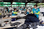 Việt Nam: Khởi đầu ổn định và bước đột phá mạnh mẽ của kinh tế tư nhân