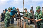 Nâng cao nhận thức cộng đồng, chủ động ứng phó thiên tai
