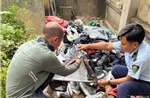 Tiêu hủy gần 500 sản phẩm thời trang giả mạo nhãn hiệu