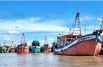 Cà Mau tăng cường kiểm soát tàu cá, tái tạo nguồn lợi thủy sản
