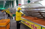 Lấy doanh nghiệp làm trung tâm trong chính sách hỗ trợ