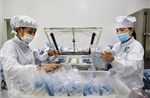 Ban hành Bộ tiêu chí đánh giá kết quả công nghiệp hóa, hiện đại hóa