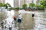 Bão Bavi đổ bộ Trung Quốc gây thiệt hại nặng nề