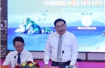 Bảo tồn chim yến, giữ gìn ‘vàng trắng’ của biển Khánh Hòa